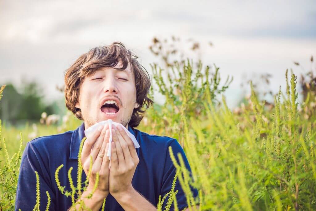 Hypnose bei Allergien Weiden